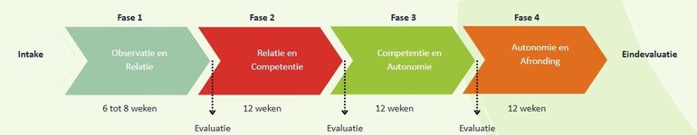 Fasemodel IBA